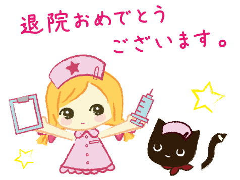 ドールナースと猫